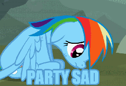 Size: 593x406 | Tagged: safe, edit, edited screencap, screencap, rainbow dash, g4, may the best pet win, animated, distressed, female, image macro, party hard, sad, solo