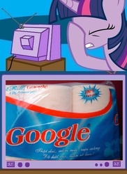 Size: 562x771 | Tagged: safe, twilight sparkle, g4, china, exploitable meme, facehoof, google, meme, seems legit, toilet paper, tv meme, vietnamese