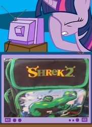 Size: 562x771 | Tagged: safe, twilight sparkle, pony, unicorn, g4, backpack, exploitable meme, facehoof, fail, meme, seems legit, shrek, shrek 2, sid's worst nightmare, the incredible hulk, tv meme, you had one job