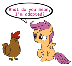 Size: 2200x2000 | Tagged: safe, artist:clamdiggydiggy, scootaloo, chicken, pegasus, pony, g4, adopted offspring, female, filly, foal, scootachicken, simple background, speech bubble, transparent background, you're adopted