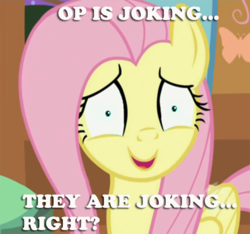 Size: 720x674 | Tagged: safe, fluttershy, g4, bad poker face, cute, female, fluttershy is best facemaker, image macro, looking at you, nervous, open mouth, shrunken pupils, shyabetes, smiling, solo, wide eyes