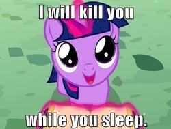 Size: 496x375 | Tagged: safe, twilight sparkle, g4, caption, creepy, death threat, dissonant caption, filly twilight sparkle, text, threat