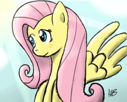 Size: 1280x1024 | Tagged: dead source, safe, artist:lancer, fluttershy, pegasus, pony, g4, blushing, bust, female, looking away, mare, solo, spread wings, three quarter view, wings