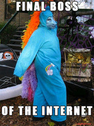 Size: 610x813 | Tagged: safe, rainbow dash, human, g4, brony, cosplay, final boss of the internet, irl, irl human, photo, solo