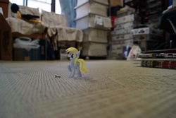 Size: 1600x1067 | Tagged: safe, artist:patoriotto, derpy hooves, pegasus, pony, g4, female, mare, ponies in real life