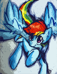 Size: 1113x1451 | Tagged: safe, artist:php166, rainbow dash, g4, female, solo