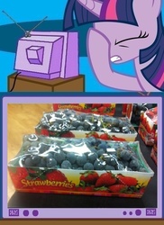 Size: 561x771 | Tagged: safe, twilight sparkle, g4, blueberry, exploitable meme, facehoof, fail, meme, seems legit, strawberry, tv meme, you had one job