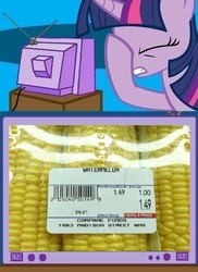 Size: 561x771 | Tagged: safe, twilight sparkle, pony, unicorn, g4, corn, epic fail, exploitable meme, eyes closed, facehoof, fail, meme, seems legit, tv meme, unicorn twilight, watermelon, you had one job