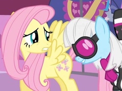 Size: 506x376 | Tagged: safe, screencap, fluttershy, photo finish, earth pony, pegasus, pony, g4, green isn't your color, dat ass, duo, meme, out of context