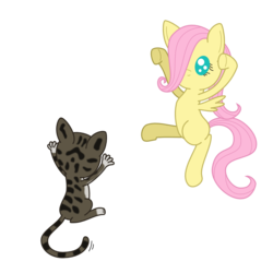 Size: 1000x1000 | Tagged: safe, artist:greywander87, fluttershy, cat, g4, filly, kitten, simple background, transparent background, vector