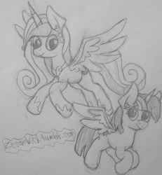 Size: 881x955 | Tagged: safe, artist:zesandvich, princess cadance, twilight sparkle, alicorn, pony, g4, 30 minute art challenge, female, mare, twilight sparkle (alicorn)