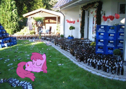 Size: 1048x742 | Tagged: safe, berry punch, berryshine, g4, beer, garden, ponies in real life, sleeping