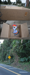 Size: 815x2005 | Tagged: safe, rainbow dash, fanfic:my little dashie, g4, dashie meme, exploitable meme, no people finding dash meme