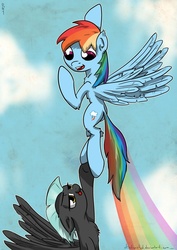 Size: 1555x2200 | Tagged: safe, artist:distoorted, rainbow dash, thunderlane, g4