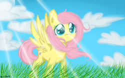 Size: 1920x1200 | Tagged: safe, artist:applejack-lover-fan, fluttershy, g4, female, solo