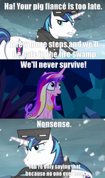 Size: 1280x2160 | Tagged: safe, princess cadance, shining armor, g4, snow goggles, text, the princess bride