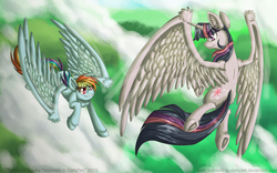 Size: 900x563 | Tagged: safe, artist:inuhoshi-to-darkpen, rainbow dash, twilight sparkle, alicorn, pony, g4, chest fluff, cloud, cloudy, female, flying, lesbian, mare, ship:twidash, shipping, twilight sparkle (alicorn), underhoof, unshorn fetlocks