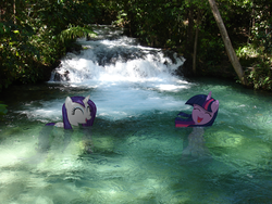 Size: 1600x1200 | Tagged: safe, artist:bryal, rarity, twilight sparkle, g4, irl, photo, ponies in real life, river, stream, swimming, wet, wet mane, wet mane rarity