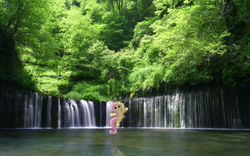 Size: 1920x1200 | Tagged: safe, artist:bryal, fluttershy, g4, irl, photo, ponies in real life, scenery, water, waterfall