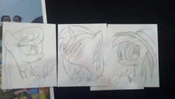 Size: 1816x1024 | Tagged: safe, artist:andy price, idw, cerberus (g4), daring do, dj pon-3, octavia melody, vinyl scratch, cerberus, earth pony, pony, unicorn, g4, multiple heads, three heads, traditional art