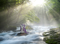Size: 1280x939 | Tagged: safe, artist:bryal, rarity, g4, irl, photo, ponies in real life, rapids, solo, wet, wet mane, wet mane rarity