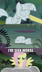 Size: 1024x1728 | Tagged: safe, fluttershy, twilight sparkle, g4, image macro, statue, the princess bride