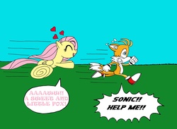 Size: 3479x2550 | Tagged: safe, artist:lightdegel, fluttershy, g4, chase, crossover, heart, male, miles "tails" prower, running, sonic the hedgehog (series), speech bubble