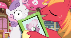 Size: 1366x738 | Tagged: safe, screencap, big macintosh, cheerilee, sweetie belle, earth pony, pony, g4, hearts and hooves day (episode), duo, faic, hearts and hooves day, male, photo, picture frame, stallion