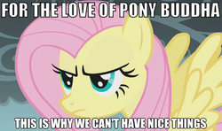 Size: 625x371 | Tagged: safe, edit, edited screencap, screencap, fluttershy, pony, dragonshy, g4, angry, buddha, buddhism, female, image macro, solo