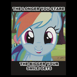 Size: 350x350 | Tagged: safe, rainbow dash, pony, g4, female, image macro, smiling, solo