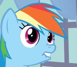 Size: 376x329 | Tagged: safe, screencap, rainbow dash, pegasus, pony, g4, spike at your service, close-up, faic, female, lip bite, mare, nose wrinkle, reaction image, solo, unf, wide eyes