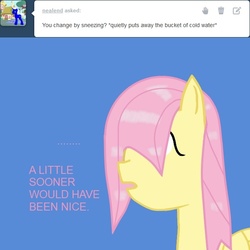 Size: 627x627 | Tagged: safe, fluttershy, g4, all caps, ask, blue background, bust, ranma 1/2, simple background, solo, text, tumblr, wet, wet mane