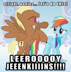 Size: 500x506 | Tagged: safe, edit, edited screencap, screencap, leeroy wingkins, rainbow dash, pegasus, pony, g4, season 1, sonic rainboom (episode), background pony, eyes closed, frown, image macro, leeroy jenkins, meme, open mouth, rearing, spread wings, warcraft, world of warcraft, worried