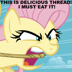 Size: 600x600 | Tagged: safe, fluttershy, g4, image macro, pun, thread