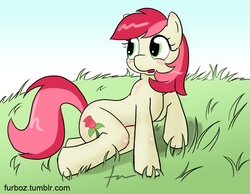 Size: 800x621 | Tagged: safe, artist:furboz, roseluck, earth pony, pony, semi-anthro, g4, 30 minute art challenge, anatomically incorrect, blushing, grass, incorrect leg anatomy