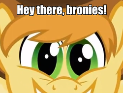 Size: 1750x1323 | Tagged: safe, braeburn, earth pony, pony, g4, eyes, hypnosis, looking at you
