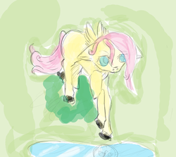 Size: 1800x1600 | Tagged: safe, artist:charity650, fluttershy, pegasus, pony, g4, colored hooves, female, floppy ears, outdoors, raised hoof, reflection, solo, standing, stray strand, water, wings