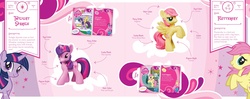 Size: 2500x991 | Tagged: safe, fluttershy, twilight sparkle, g4, my little pony: mini pony collector's guide, official, collector card, female, irl, photo, toy