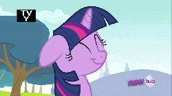 Size: 640x360 | Tagged: source needed, useless source url, safe, twilight sparkle, pony, g4, animated, cute, eyes closed, female, floppy ears, grin, hub logo, smiling, solo, talking, twiabetes