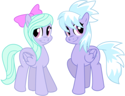 Size: 988x756 | Tagged: safe, artist:bswprecious, cloudchaser, flitter, pegasus, pony, g4, duo, duo female, female, mare, simple background, transparent background, vector
