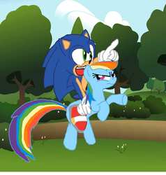 Size: 1313x1382 | Tagged: safe, artist:biosonic100, rainbow dash, g4, crossover, male, riding, sonic the hedgehog, sonic the hedgehog (series)