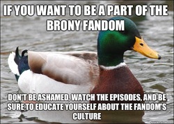 Size: 530x380 | Tagged: safe, actual advice mallard, advice animal, barely pony related, image macro