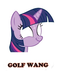 Size: 583x700 | Tagged: safe, artist:prisonedmuffin, twilight sparkle, g4, golf wang, odd future, ofwgkta, twiface, wrong neighborhood