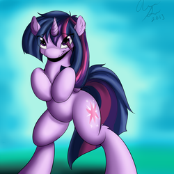 Size: 1000x1000 | Tagged: safe, artist:inkybreaker, twilight sparkle, g4, female, solo