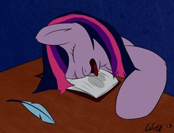 Size: 1020x784 | Tagged: dead source, safe, artist:ookamithewolf1, twilight sparkle, g4, book, drool, female, night, sleeping, solo