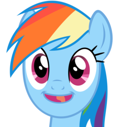 Size: 850x850 | Tagged: safe, rainbow dash, pony, g4, may the best pet win, bust, faic, happy, looking at you, open mouth, portrait, quality, simple background, solo, transparent background