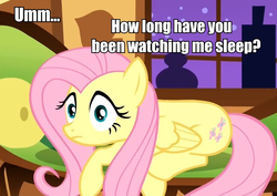 Size: 643x454 | Tagged: safe, edit, edited screencap, screencap, fluttershy, pony, g4, stare master, bench, caught, cropped, female, image macro, shocked, solo