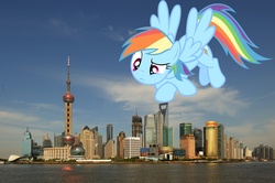 Size: 4256x2832 | Tagged: safe, artist:galvan19, rainbow dash, pegasus, pony, g4, china, city, female, giant pony, giantess, high res, highrise ponies, macro, mare, ponies in real life, shanghai