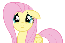 Size: 6000x3968 | Tagged: safe, artist:pixiepea, fluttershy, g4, simple background, transparent background, vector