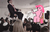 Size: 831x528 | Tagged: safe, artist:bucky, pinkie pie, g4, jewish chair dance, judaism, pinkur pye, ponies in real life, wedding